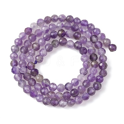 Natural Amethyst Beads Strands G-T108-35-1