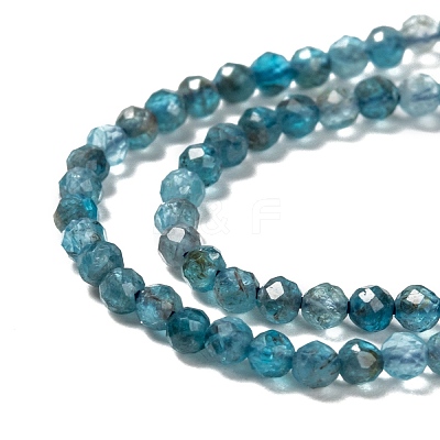 Natural Apatite Beads Strands G-K185-02-1