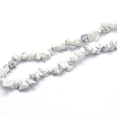 Natural Howlite Beads Strands X-G-O049-B-40-1