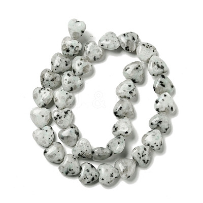 Natural Sesame Jasper/Kiwi Jasper Beads Strands G-B022-12C-1