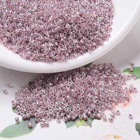 MIYUKI Delica Beads SEED-X0054-DB0256-1