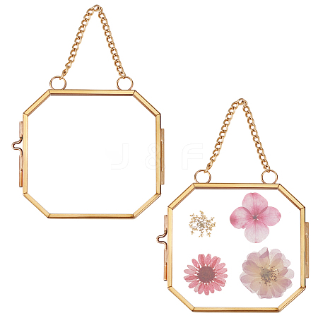Octagon Brass Glass Hanging Photo Frame AJEW-WH0270-555A-1