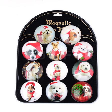 Christmas Theme Fridge Magnets Glass Puppy Decorations GGLA-Q051-45mm-052-1