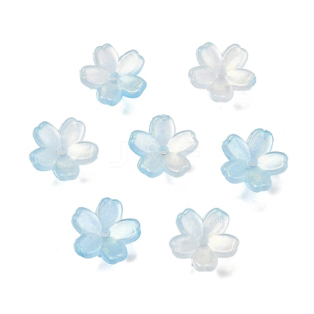 Acrylic Bead Caps OACR-I024-01C-1
