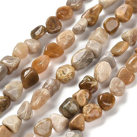 Natural Fossil Coral Beads Strands G-P497-01E-36-1