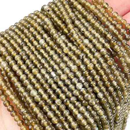 Natural Labradorite Beads Strands G-M438-A01-01-1