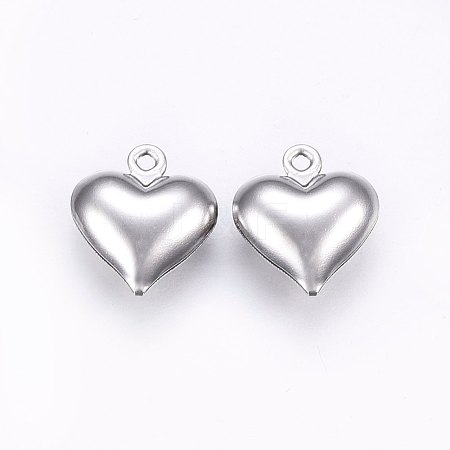 304 Stainless Steel Charms STAS-E438-19P-1