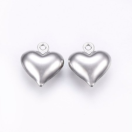 Tarnish Resistant 304 Stainless Steel Charms STAS-E438-19P-1