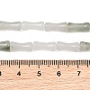 Natural Tianshan Cui Jade Beads Strands GG-CBAEB22-A01-01-5