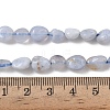 Natural Blue Lace Agate Beads Strands G-E483-62A-2
