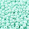 Baking Paint Glass Seed Beads SEED-B001-02A-14-3