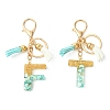Transparent Epoxy Resin Pendant Keychains KEYC-FS00022-18-2