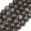 Natural Fluorescent Syenite Rock(Glow under UV Light) Beads Strands GG-NH0012-A01-10mm-2