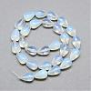 Opalite Bead Strands G-T004-22-2