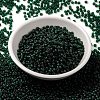 MIYUKI Round Rocailles Beads SEED-JP0009-RR0156F-2