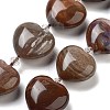 Natural Petrified Wood Beads Strands G-C150-A08-01-2