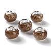 Brass Cores Acrylic European Beads OACR-M024-06P-02-1