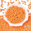 Opaque Baking Paint Glass Seed Beads SEED-T008-02F-2