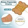 5M Brass Paperclip Chains CHC-TA0001-39G-4