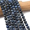 Natural Grade AA Dumortierite Quartz Round Bead Strands G-P075-43-6mm-1