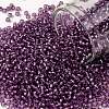 TOHO Round Seed Beads SEED-XTR11-2219-1