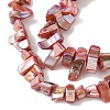 Natural Freshwater Shell Beads Strands BSHE-H018-07-4