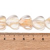 Transparent Handmade Lampwork Beads LA-CBAF0C8-01C-3