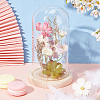Glass Dome Cover AJEW-WH0348-295I-4