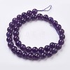Natural Amethyst Bead Strands G-J376-20-10mm-2