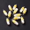 Translucent Plastic Pendants LS-X-KY-L006-29B-2