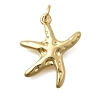 Brass Pendants KK-D431-022E-G-1