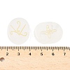 16Pcs 16 Styles Natural Quartz Crystal Display Decorations G-F786-02A-08-3