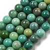 Natural Green Grass Agate Beads Strands G-NH0001-D03-02-1