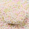 Macaron Color Opaque Frosted Glass Seed Beads X1-SEED-K009-12B-13-2