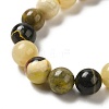 Natural Bumblebee Jasper Beads Strands G-NH0008-01-4