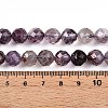 Natural Purple Lodolite Quartz/Purple Phantom Quartz Beads Strands G-T140-21C-5