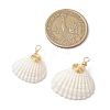 Natural Shell Pendants PALLOY-JF03316-03-2