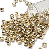 TOHO 3/0 Round Beads SEED-TR03-PF0558-1