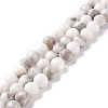 Natural Dolomite Beads Strands G-I318-10-1