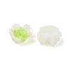 Luminous Resin Decoden Cabochons LS-RESI-K036-06F-02-3