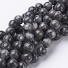 Natural Larvikite Beads Strands GSR10mmC128-1