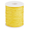 1 Roll 100 Yards Round Nylon Braided Thread NWIR-PH0002-22D-1