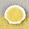 FGB Frosted Transparent Glass Seed Beads SEED-N013-06A-02-2