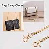 Bag Strap Chain CH-PH0001-06-6