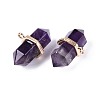 Natural Amethyst Double Terminal Pointed Pendants G-N345-09D-2