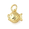 Brass Charms ZIRC-I070-086G-1