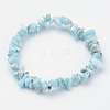 Natural Larimar Beaded Stretch Bracelets BJEW-JB02680-01-8