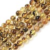Natural Amber Beads Strands G-L095-B01-5mm-03-2