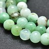 Natural Chrysoprase Beads Strands G-K305-13-B-3