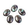 Synthetic Variscite Cabochons G-L502-22x30mm-08-1